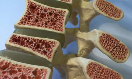 Long-Standing Puzzle Solved: New Hormone CCN3 Could Double Bone Mass