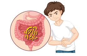 Scientists Develop Realistic ‘Micro-Gut’ Model to Study Relationship Between Gut Microbes and Human Diseases