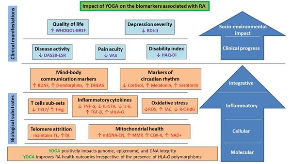 Yoga Brings Hope to Rheumatoid Arthritis Patients: New Study Shows Significant Health Benefits