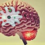 A New Hope Against a “Brain-Eating” Amoeba: Repurposed Drug Shows Promise in Rare, Fatal Infection