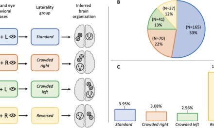 Why Most People Are Right-Handed but Left-Eyed: Unveiling Human and Animal Biases