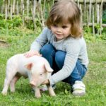 Growth Without Gaps: Large-Scale Study Finds Vegan and Vegetarian Babies Keep Pace with Meat-Eaters by Age Two