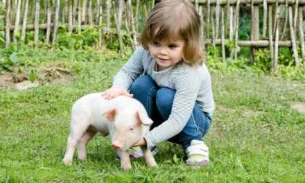 Naming Animals May Curb Meat Consumption Among Children