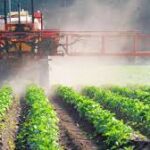 Study Links Glyphosate Exposure to Lower Birthweight and Premature Birth