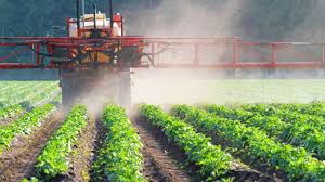 “Forever Chemicals Flourishing in Pesticides, Warns Study”