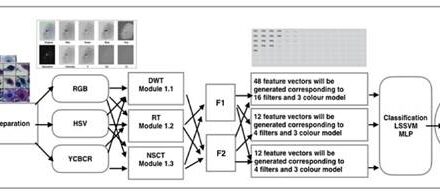 Novel computational model could help early detection of cervical cancer