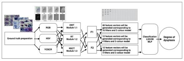 Novel computational model could help early detection of cervical cancer