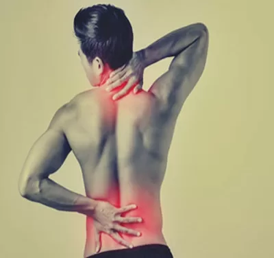 Nourishing the Joint: Daily Prebiotic Fiber May Ease Knee Osteoarthritis Pain, New Trial Suggests