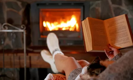 Is Your Fireplace a Health Risk? Researchers Uncover Hidden Dangers