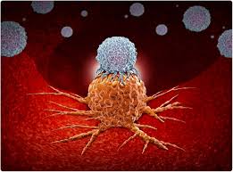 New Immunotherapy Using Nanoparticles Offers Hope for Prostate Cancer Patients