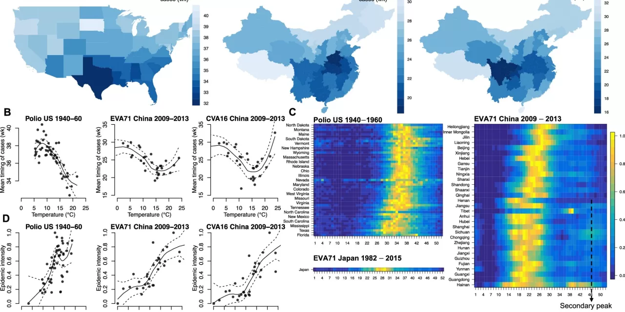 Climate Change Could Intensify Future Enterovirus Outbreaks