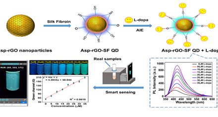 New Smartphone-Based Sensor for Precise L-dopa Monitoring in Parkinson’s Disease Management