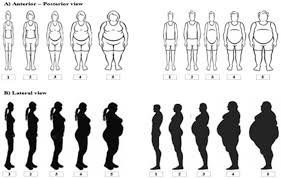 Cross-Cultural Study Reveals Varied Body Appreciation Levels Among Women