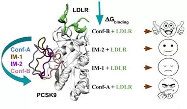 Computational Protocol Provides Cheaper Route to Manage Cholesterol Levels