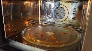 Highly Adapted Microbes Found in Microwave Ovens, Study Reveals