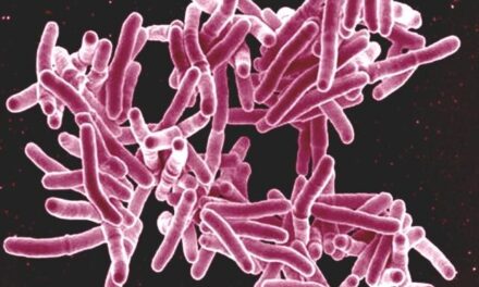 AI Accelerates Search for New Tuberculosis Drug Targets