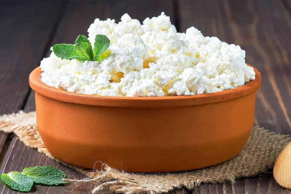 Cottage Cheese Makes a Comeback: The Nutrition and Versatility of a Dairy Classic