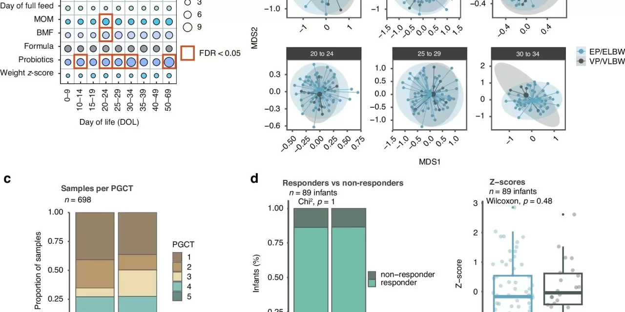 Should Extremely Preterm Infants Be Given Probiotics? New Study Explores Effects on Gut Microbiome