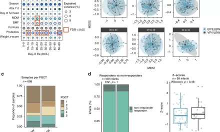 Should Extremely Preterm Infants Be Given Probiotics? New Study Explores Effects on Gut Microbiome