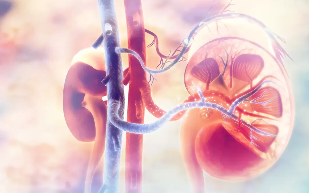 Proton Pump Inhibitors Linked to Higher Risk of Kidney Disease Progression in CKD Patients