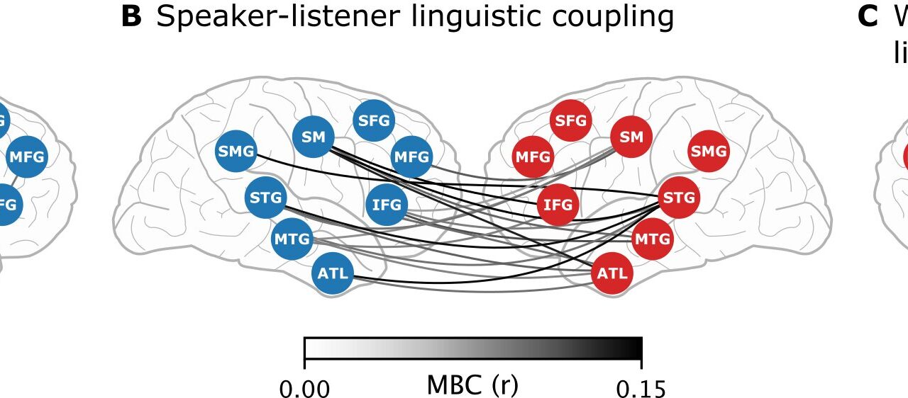 Brain Activity Mirrored Between Speaker and Listener During Conversation, Study Shows