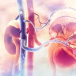 Global Diabetic Kidney Disease Burden Surges, Projected to Worsen by 2050