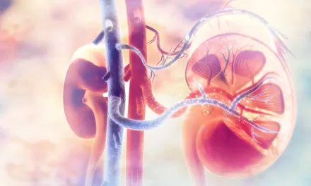 Investigating the Interplay Between Inflammatory Bowel Disease and Kidney Diseases