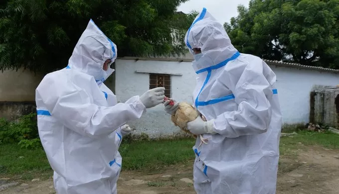 Disease Outbreak News Avian Influenza A(H9N2) – Ghana