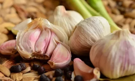 Garlic’s Antioxidant and Nitric Oxide Boosting Effects May Help Lower Blood Pressure, Study Finds