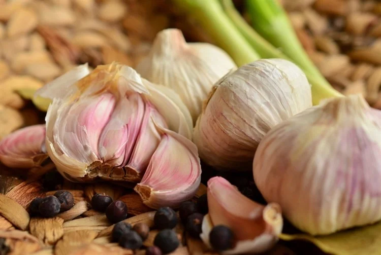 Garlic’s Antioxidant and Nitric Oxide Boosting Effects May Help Lower Blood Pressure, Study Finds