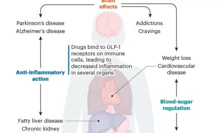 Obesity Drugs: A Potential Cure for Cravings and Chronic Illnesses