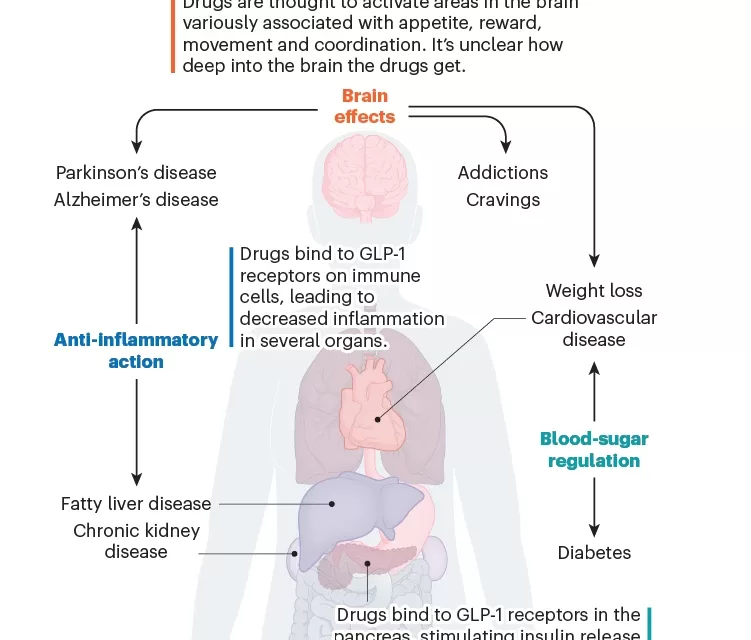 Obesity Drugs: A Potential Cure for Cravings and Chronic Illnesses