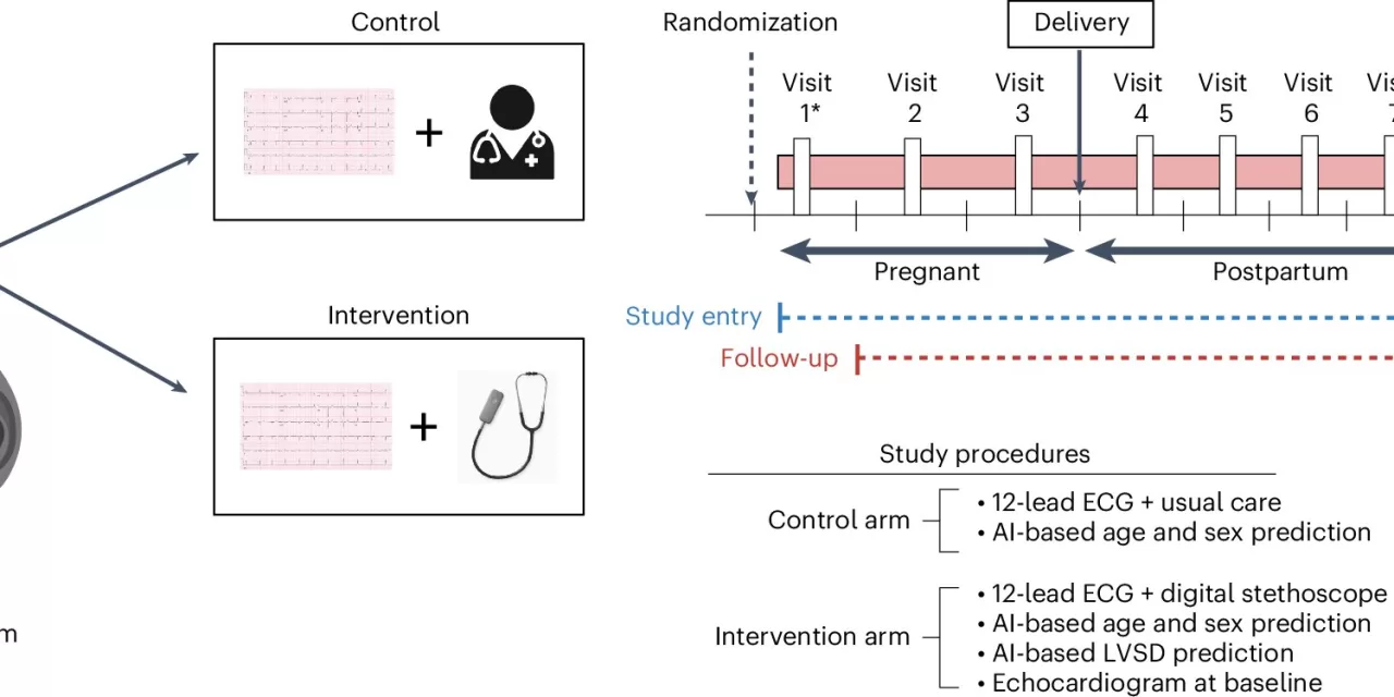 AI Stethoscope Doubles Detection of Pregnancy Heart Failure