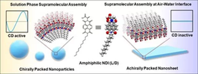 Indian Researchers Unveil New Method to Create Nanostructures for Biomedicine and Electronics