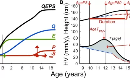 Study Reveals Significant Variation in Height Growth After First Period in Girls