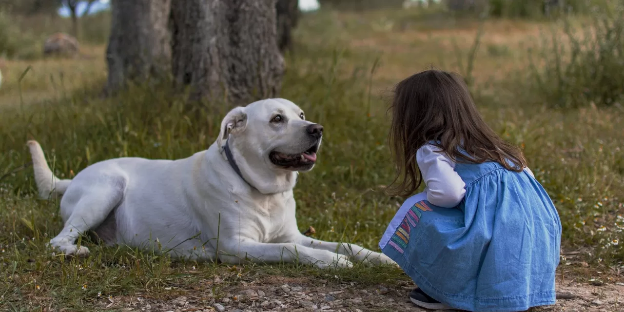 Growing Up with Dogs Linked to Improved Gut Health, Study Finds