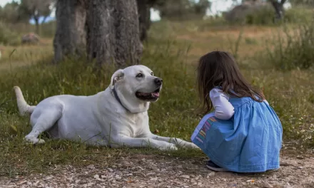 Growing Up with Dogs Linked to Improved Gut Health, Study Finds