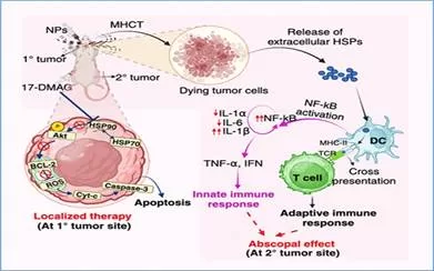 New heat-based approach to cancer treatment can reduce chemotherapy doses