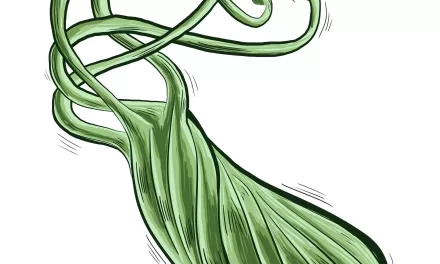 New Guidelines Recommend Shift in Primary Treatment for Helicobacter pylori Infection