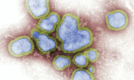 From Spanish Flu to Today: How Immune Cells Keep Up with a Changing Virus