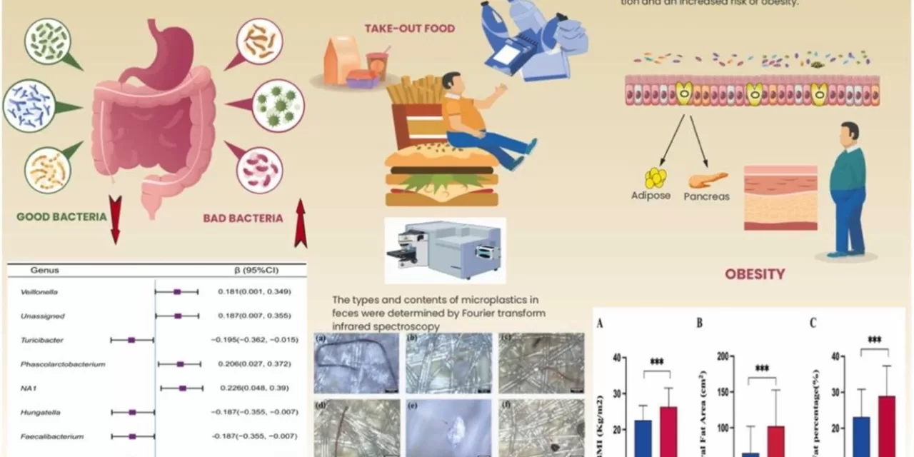 How Microplastics May Trigger Weight Gain