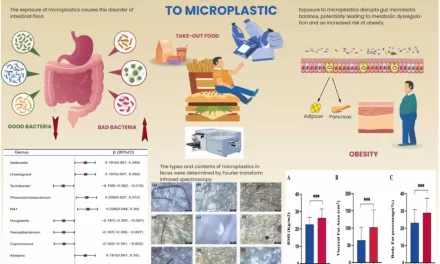 How Microplastics May Trigger Weight Gain