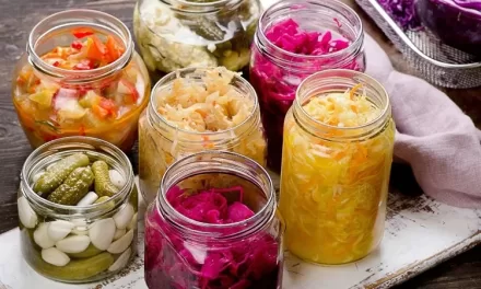 Groundbreaking European Study Sheds Light on Health Impacts of Fermented Foods