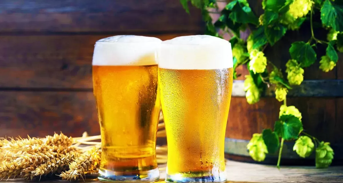 Beer vs. Probiotics: How Drinking a Pint Might Be Great for Gut Health