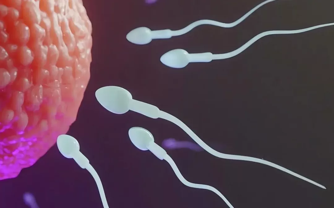 Ancient Practice, Modern Science: AIIMS Study Reveals Yoga Signficantly Improves Sperm Quality and Reduces DNA Damage
