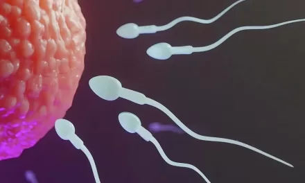 Study Reveals Stress Enhances Sperm Performance: A Surprising Boost to Reproduction