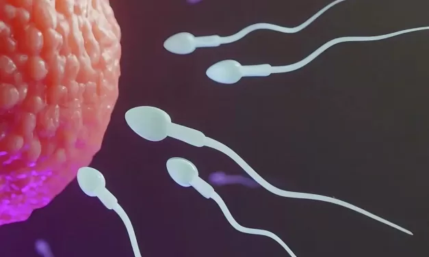 The Hidden Cost of Conception: Male Infertility Treatment Costs Nearly As Much As Endometriosis in India, Study Reveals