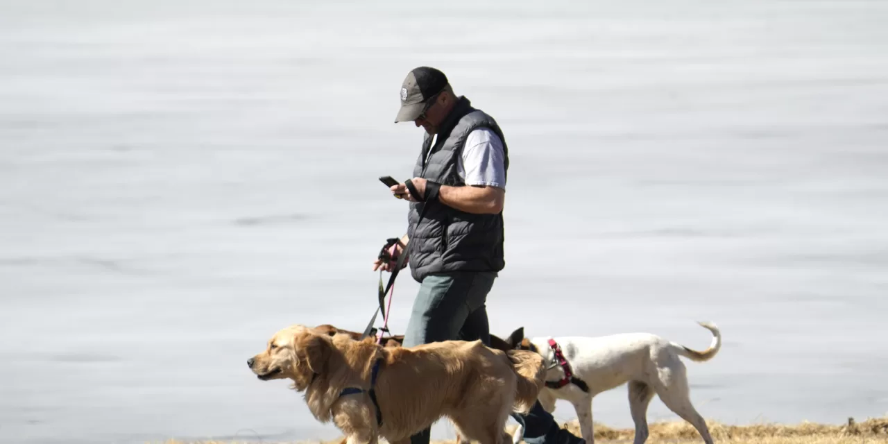 Dog Walking Injuries on the Rise: Staying Safe While Enjoying Your Furry Companion