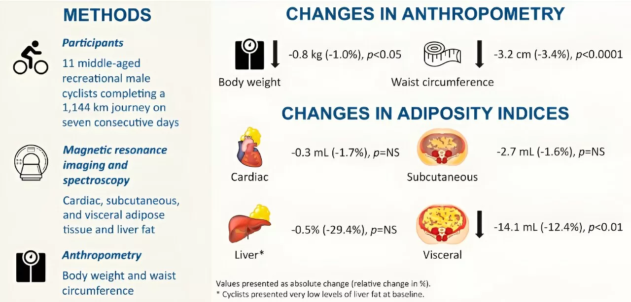 Study Reveals Endurance Exercise Can Reduce Body Fat Without Weight Loss