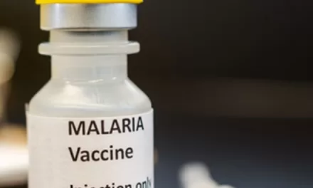 Nigeria Rolls Out New Malaria Vaccine in Historic Fight Against Deadly Disease